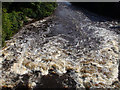 Below the weir on the Ericht after rain