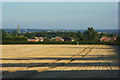 Harvested farmland, Pinkney