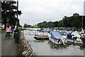 Kingsbridge Estuary at high tide