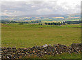 Pasture and drystane dyke