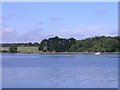 Looking across the Cleddau to Ash Wood