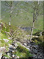 NM7684 : Waterfall above Loch na Creige Duibhe by Jonathan Wilkins