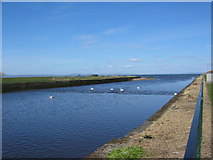 NT3473 : Mouth of River Esk at High Tide, Musselburgh, East Lothian by Renata Edge