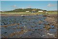 The Mouth Of Chapelton Burn