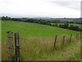 Curraghfad Townland