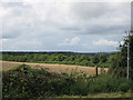 Footpath to Castle Farm