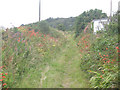 Footpath to Gulval Downs