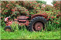 Q5003 : Abandoned tractor by Sharon Loxton