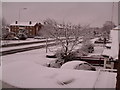 Snow on Dereham Road