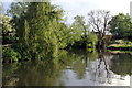 River Thames, Buscot