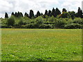 Pasture beside the M40 motorway