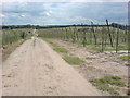 Bridleway off Oak Lane, Rainham