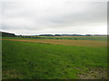 Farmland near Down Dairy