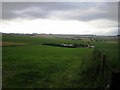 Farmland near Down Dairy 2