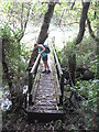 Footbridge over the Red River