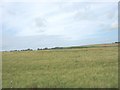 Farmland near Pont Cefn Coch