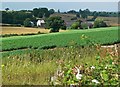 Lodge Farm near Worthington, Leicestershire