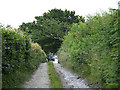 Farm track east of Penuwch, Ceredigion