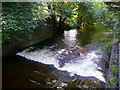 Weir on the Yscir