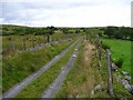 Farm track in Cwm Cadlan