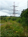 Waste ground west of Halt Road