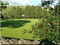 Playing field off Bankwell Road, Giggleswick