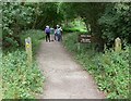 Footpath through Ambion Wood