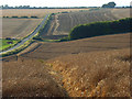 SU2883 : Farmland above Ashbury by Andrew Smith