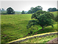 Valley  south west of Vindolanda