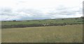 View south over farmland from near Pen-llidiard