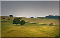 View from Vindolanda