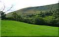 View across the wooded upper Tawe valley