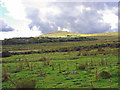 Moorland near Pantgwyn, Eglwyswen