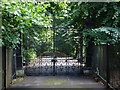 Ornamental Gates, Lime Tree Avenue, Wollaton Park