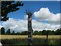 Countryside view from the Kinmel Arms