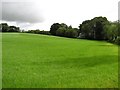 Littlemount Townland