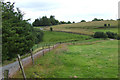 Pasture and Lane west of Penuwch, ceredigion