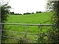 Boshinny Townland