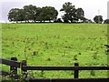 Millwood Townland