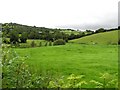 Derryhoney Townland