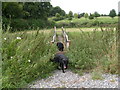 Footbridge Over Lambrook Brook