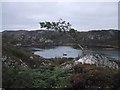 Lochan near Feardan