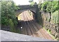 View from Branch Street Bridge - Paddock