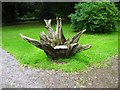 Novel use for a tree stump