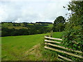 Pasture land south-west of Coedmawr.