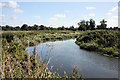 River Lark near Wamil Hall