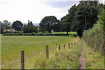 NZ5611 : Footpath into Great Ayton by Peter Church