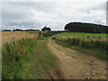 NU0208 : On farm track looking towards Tod-le-Moor farm by Norman MacKillop