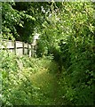 Footpath - Burley Road, Menston