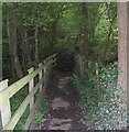 Footpath - Bradford Road, Burley in Wharfedale